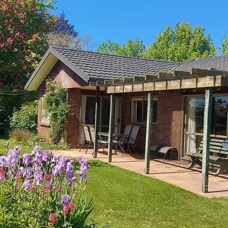 Dewdrop Cottage Хейстингс Екстериор снимка